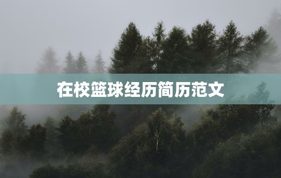 哪里可以找到关于篮球总决赛的训练资料_2